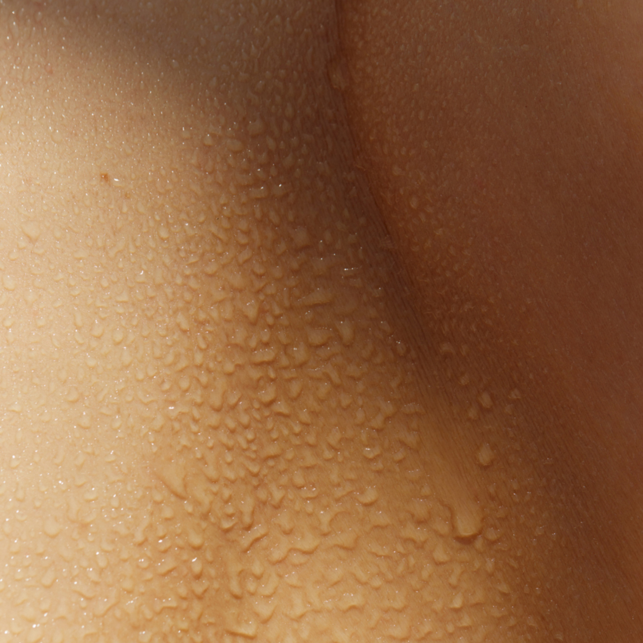 Phytoactive Skin Perfecting Essence